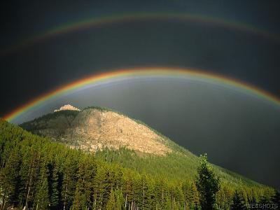 Does a rainbow mean anything to you? - Beautiful to see