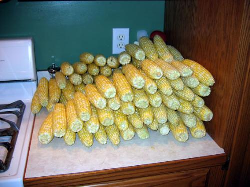 corn -  Plies of corns.