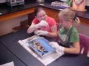 two students dissecting a frog - biology class