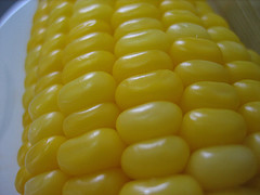 corn - I like eating corn!