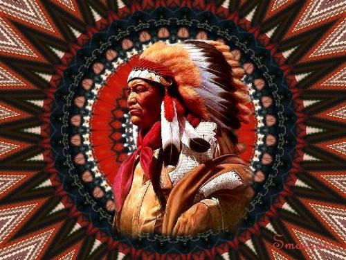 Native Pride - this poster really speaks to me