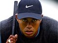 Tiger Woods Pro Golfer, Golf Course, Golf, Winning - Tiger Woods Pro Golfer, Golf Course, Golf, Winning Cups, Tiger Woods and Family