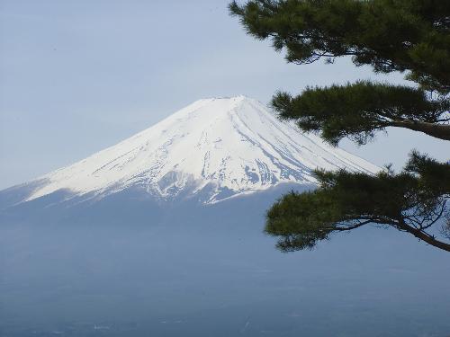 Mt. Fuji, Japan - A picture of Mt. Fuji in Japan, with a tree showing on the side.