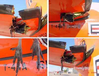 Fear of flying? - If you think nothing can go wrong when you are flying, try this one for a start.