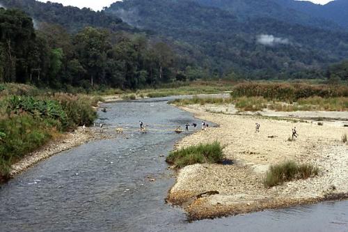 Rivers that are deep no more! - Are rivers dying away?