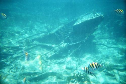 Scuba Diving  - This is a pic from Cuba a freind sent me when he was scuba diving