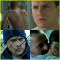 prison break - the best tv show in the worlddddddd - prison break - the best tv show in the worldddddddd......