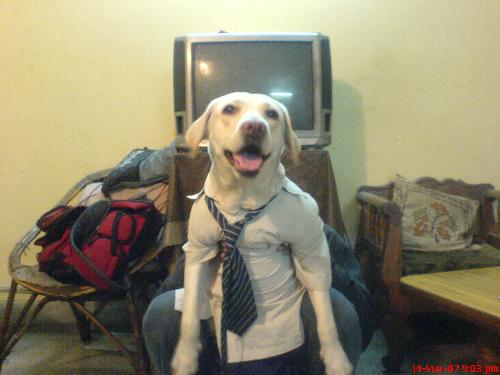 Dog or Human? - Yea guys , she is Dogwoman. Yea such a cute little girl
