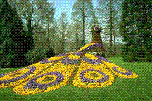 nice pic - this is the best jardin in the world