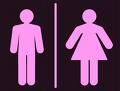 gender - male or female?