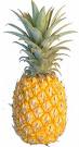 fruit - pic of fresh pineapple