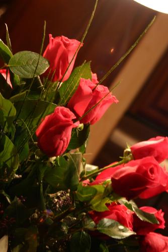 Red Roses - A bouquet of red roses Red Roses - A bouquet of red roses