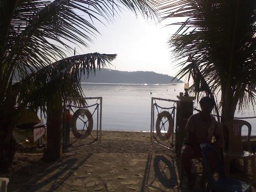 beach - a door to the beach with palm surroundings