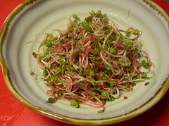 vegetable salad -  Its healthy and tasty!