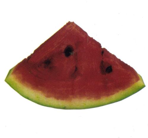 Watermelon -  This is a slice of watermelon.