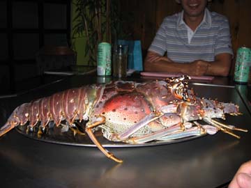 Lobster - This is the first time I've seen such a big lobster.