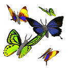 i love butterflies - butterflies are so beautiful and free