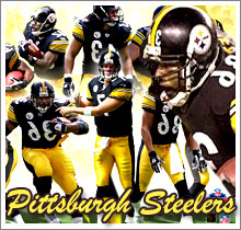 pittsburgh steelers - Picture of pittsburgh steelers