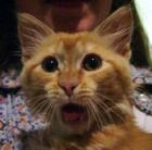 Shocked! - Look of shock!