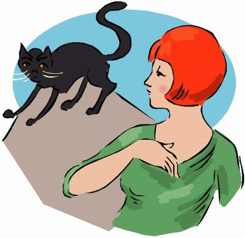 superstition - don&#039;t go when you see a black cat
