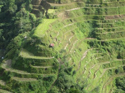 Banaue Rice terraces - this is my desktop background.beautiful..