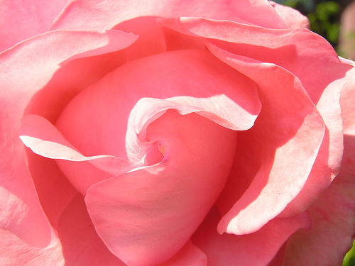 Happy Ever - Life is short, Live to its fullest.