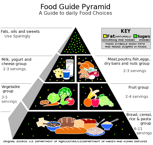 food pyramid - This is a useful guideline on what foods to eat and in what quantity.
