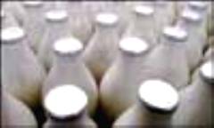 milk -  Do you like drinking milk?