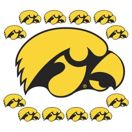 Iowa Hawkeyes - Variation of the logo and the state of iowa