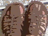 theas are my shoes ant i love these shoes - i am wearing a beautifuland dassing shoes i look very smart in these shoese