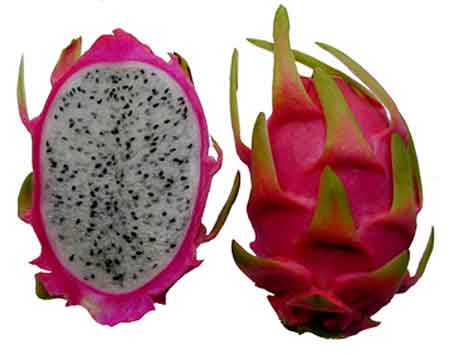 A Dragon Fruit - I have never tasted a dragon fruit.