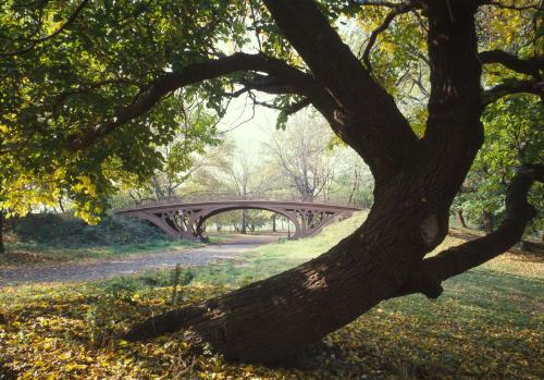 Cool Bridge - a bridge in Central Park, NYC