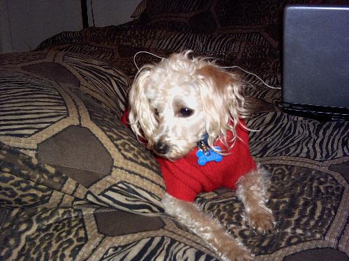 Dorian - This is my only child Dorian. He is my pride and joy