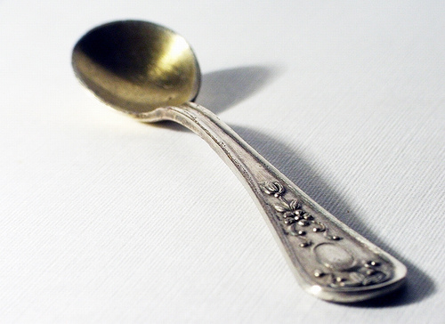 Have you ever wished you were born RICH? - A picture of a silver spoon. Taken with permission from http://farm1.static.flickr.com/65/157127388_82eaefbab3.jpg?v=0 .