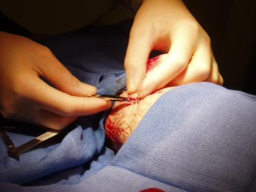 getting stitches at the ER, Can't think of anythin - getting stitches at the ER, Can't think of anything better to do !