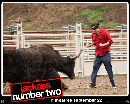 johnny knoxville and a bull - johnny knoxville getting hit by a bull.