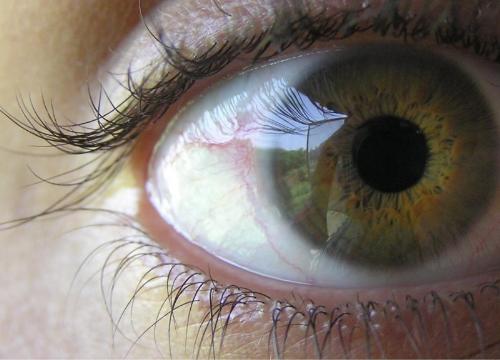 macro eye - another world is hidden in this eye