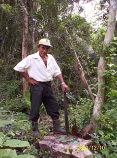 Forest cover - The benefical attributes of forests to man-they are a recreation site, they are our heritage, how climate boosters Forest cover - The benefical attributes of forests to man-they are a recreation site, they are our heritage, how climate boosters