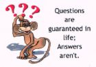 Questions and answers - Answers and questions show how clever and wise you are.