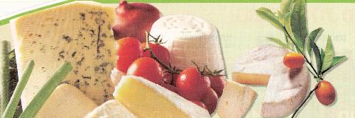 Chease - Teasty chease