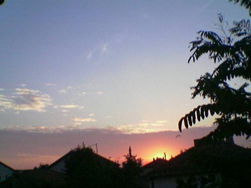 sumer rise - my made