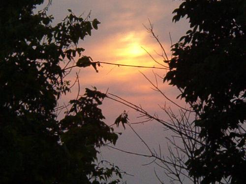 Nite Sky - A picture of the sun setting in Kentucky