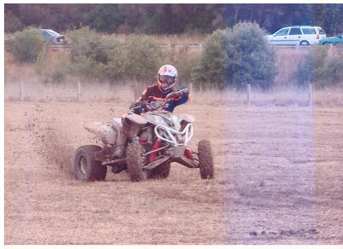Playing in the paddock... - Playing in the Paddock...