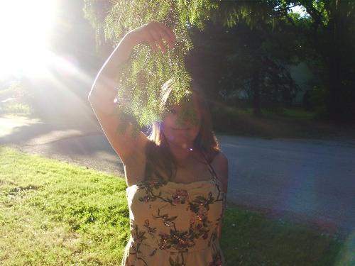 Let the Sun Shine in!! - I love the sun without the humidity, please!