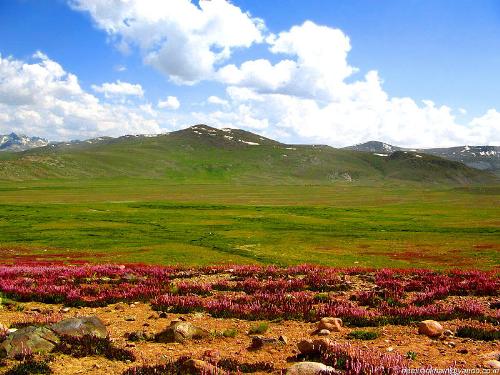 Deosai- The Beautiful valley. - The Picute of Deosai - one of the highest plateau in the world.