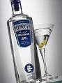 alcoholism - a bottle of gin and a martini glass
