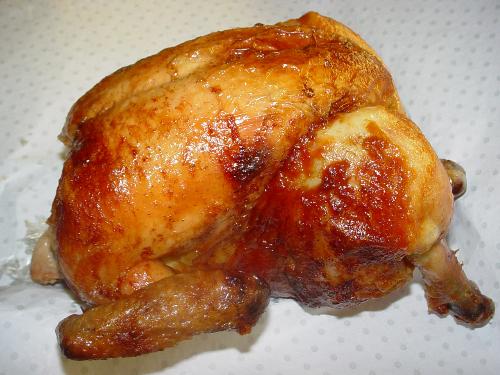 chicken - chicken pictures
