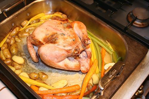 chicken - chicken pictures