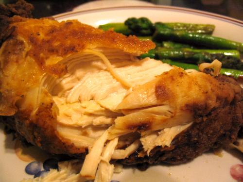 chicken - chicken pictures