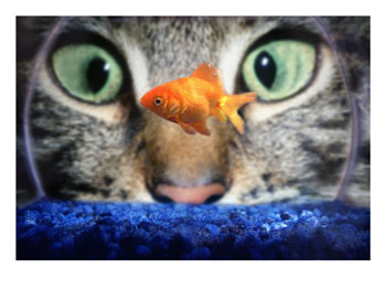 Staring - Staring is bad.